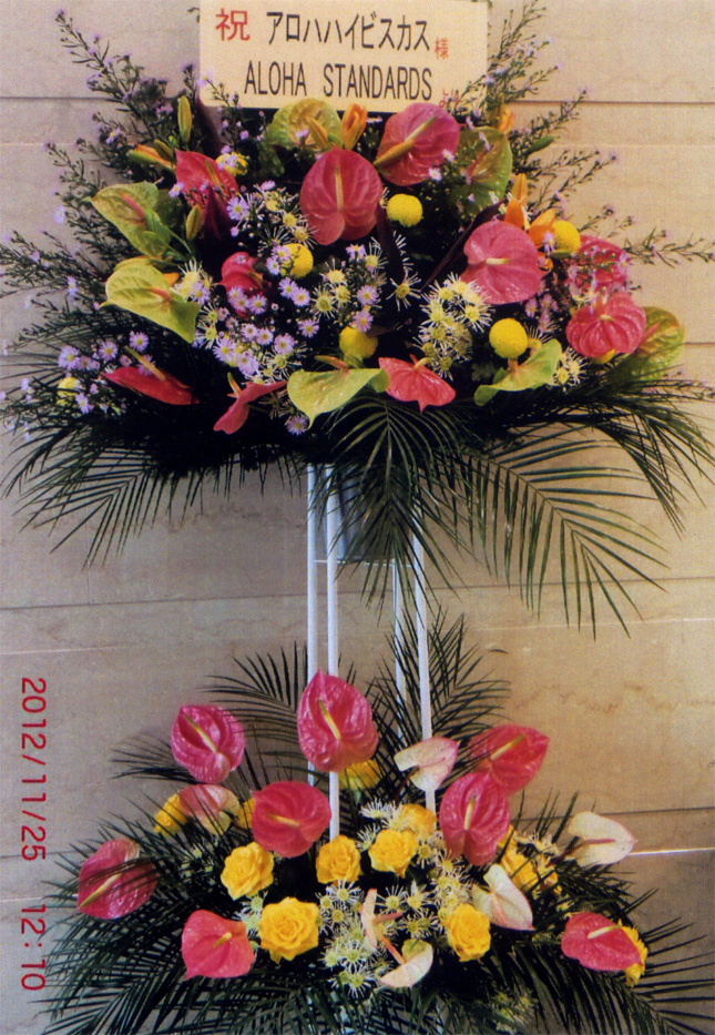 �t���_���X����