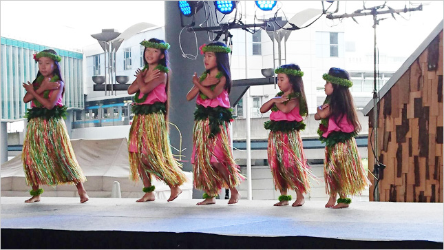 �t���_���X����