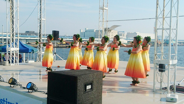 �t���_���X����