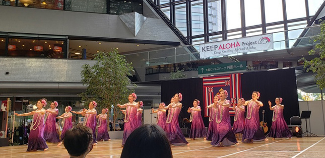 �t���_���X����